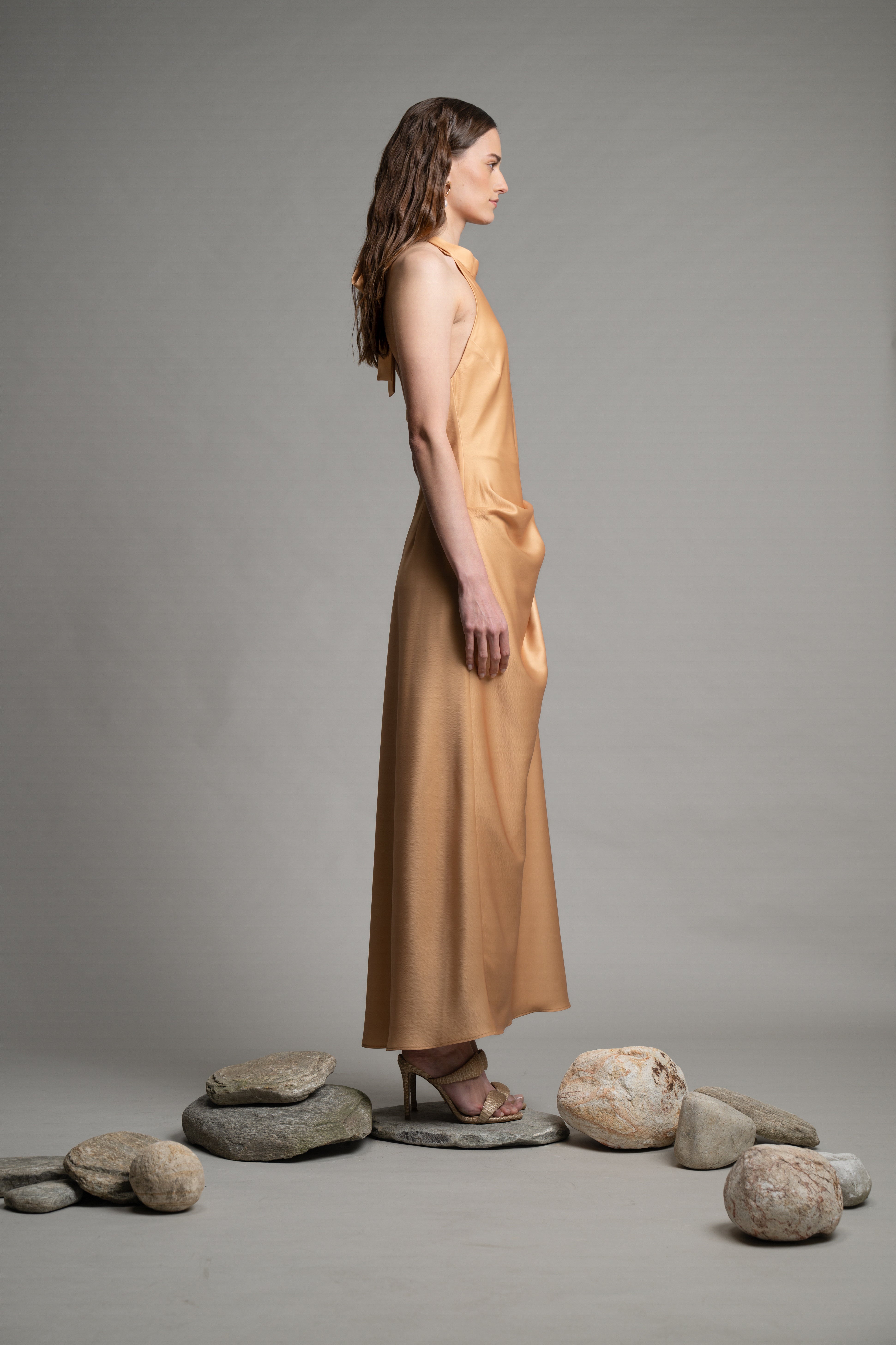 Glace Viscose Dress